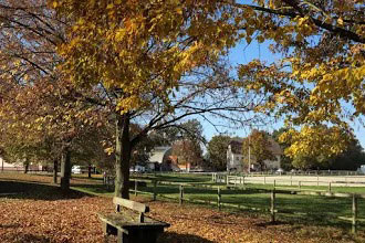 Photo parc extérieur du Club hippique Eckwersheim situé près de Strasbourg