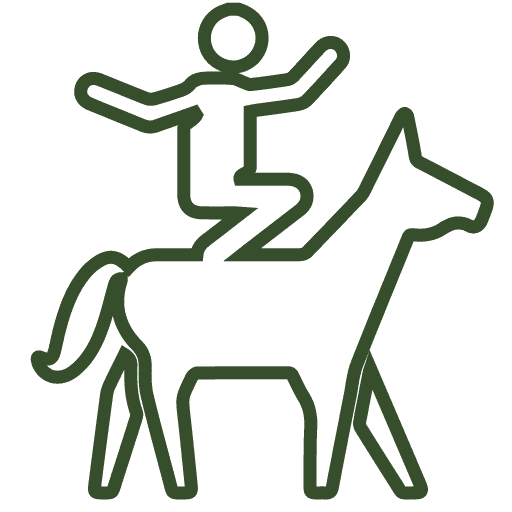 Voltige Club Hippique d'Eckwersheim