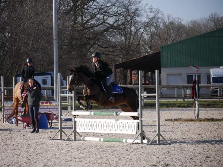 photo pris lors d'un cours compétition club obstacle avec Carole au club hippique d'eckwersheim près de Strasbourg