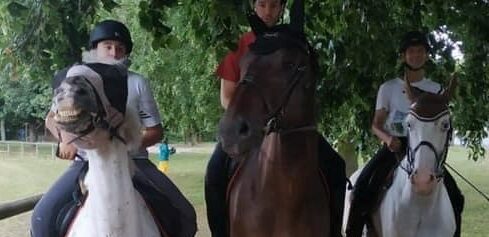 Trois chevaux de club Ursule Tonnerre et Udalgo Club Hippique d'Eckwersheim