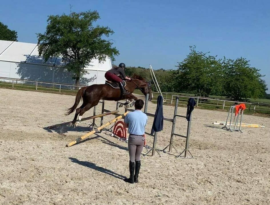 photo prise lors d'un cours compétition obstacle amateur avec Simon au club hippique d'eckwersheim près de strasbourg