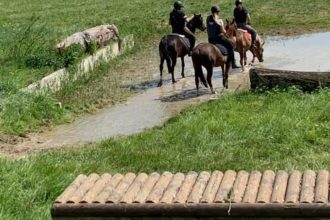 Cross du club hippique d'Eckwersheim poneys gué obstacles
