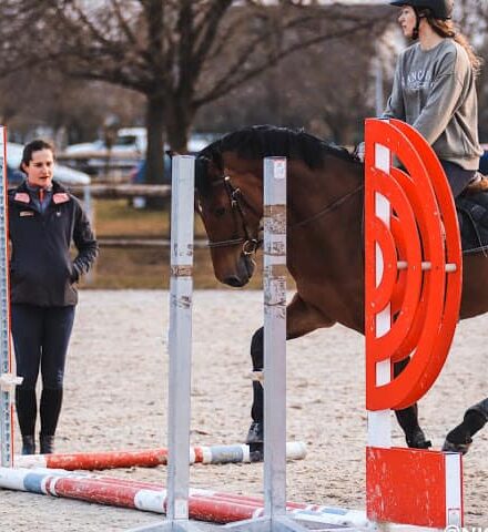 Photo d'un stage cso avec Carole au club hippique d'eckwersheim