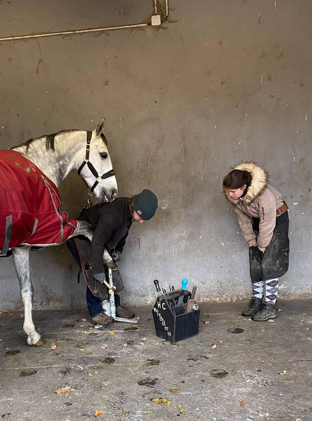 Hugo Chouquet le maréchal ferrant qui s'occupe des fers d'un cheval du Centre équestre Eckwersheim 