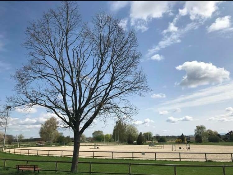 Installations du Club Hippique d'Eckwersheim