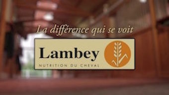 Logo de Lambley, une marque d'alimentation pour équidés utilisée par le Club hippique Eckwersheim pour nourrir ses animaux