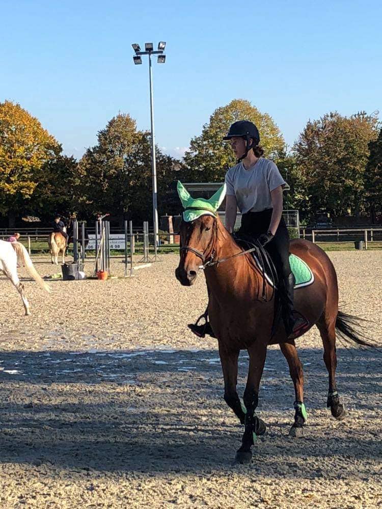 Pratiquer l'équitation à cheval au Club Hippique d'Eckwersheim