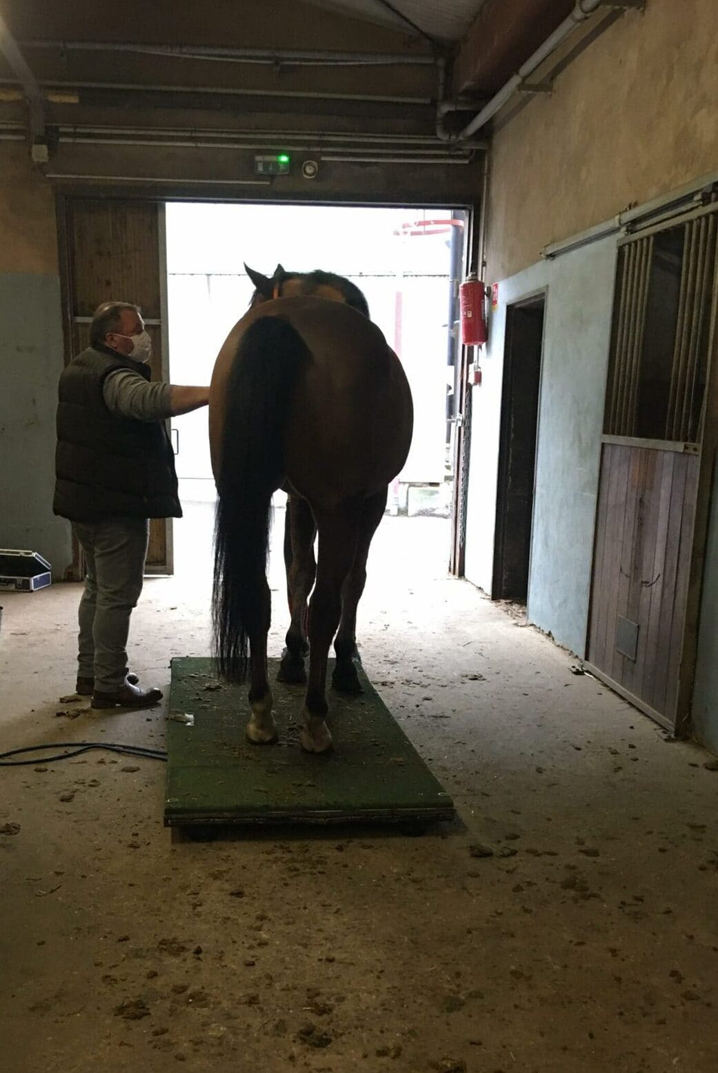 Pesée des chevaux par Lambley, une marque d'alimentation équine utilisée par le Club hippique Eckwersheim pour nourrir ses animaux