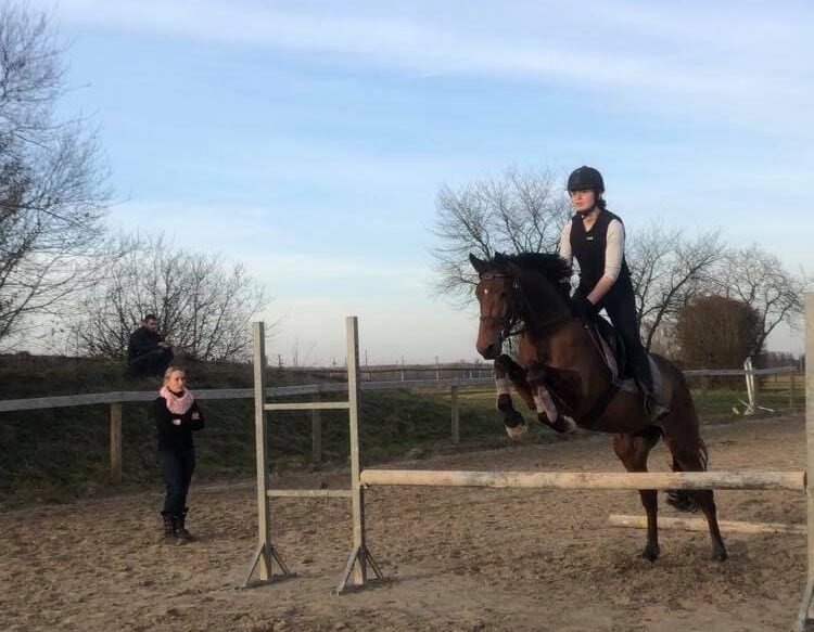 Photo prise lors d'un cours loisir avec Ruby au club hippique d'Eckwersheim