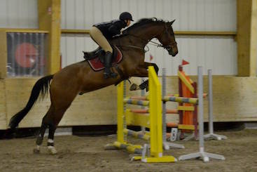 Photo d'une cavalière sur son cheval lors d'un entrainement à la discipline équestre CCE au Club hippique Eckwersheim