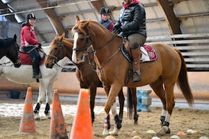 Les reprises chevaux au Club Hippique d'Eckwersheim