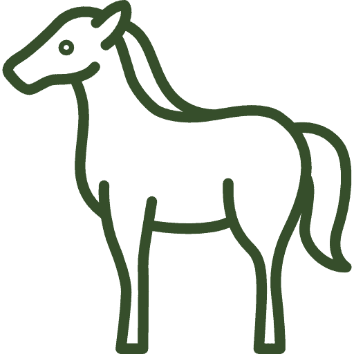 Dressage Club Hippique d'Eckwersheim