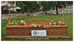 Obstacle du CCE Club Hippique d'Eckwersheim