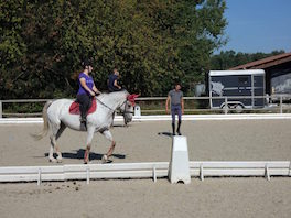 Photo d'un cours de pédagogie équestre dispensé à une cavalière sur son cheval par un instituteur du Club hippique Eckwersheim situé près de Strasbourg