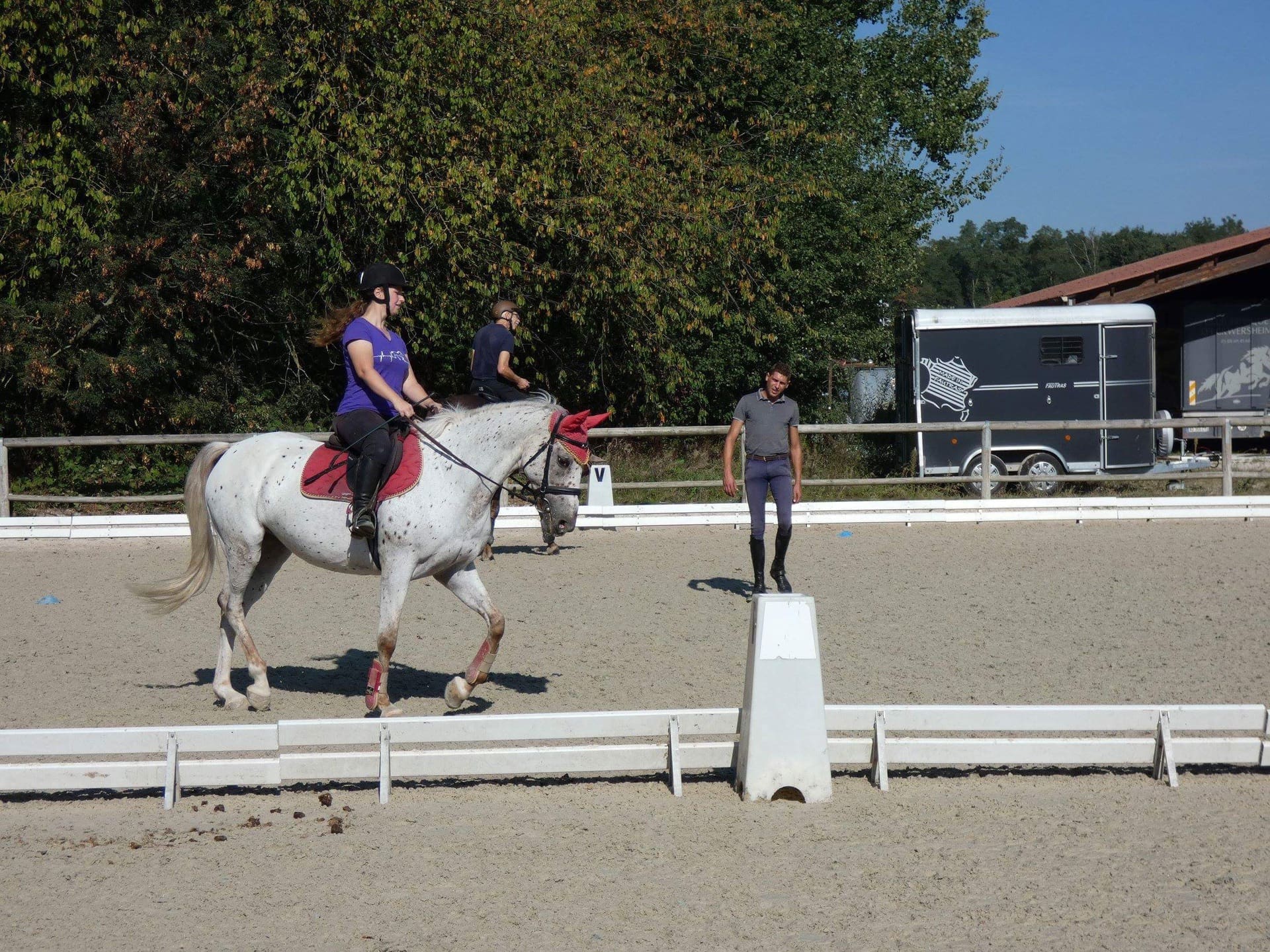 pédagogie cheval au Club Hippique d'Eckwersheim