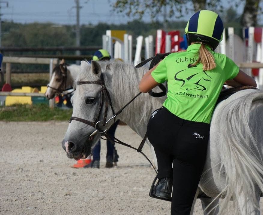Poney du Club Hippique d'Eckwersheim